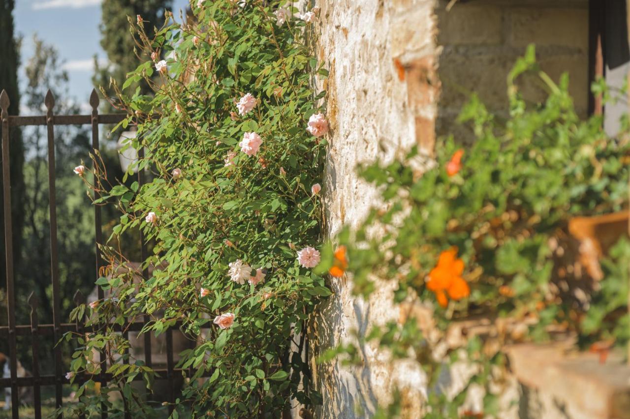 Agriturismo Cretaiole Villa Pienza Exterior photo