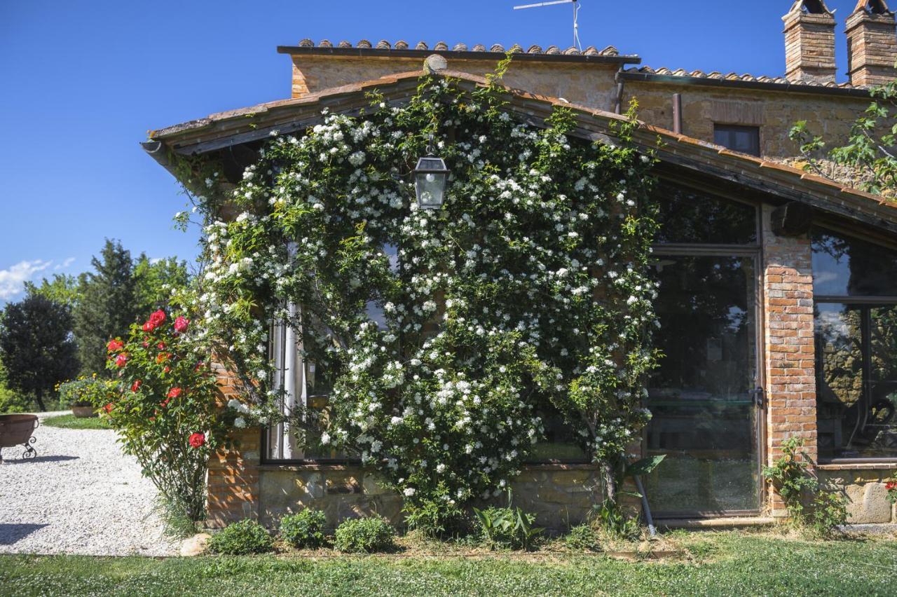 Agriturismo Cretaiole Villa Pienza Exterior photo