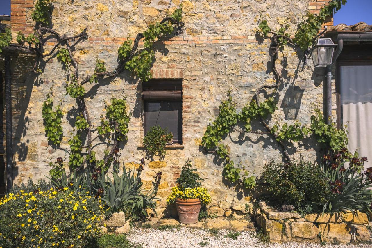 Agriturismo Cretaiole Villa Pienza Exterior photo